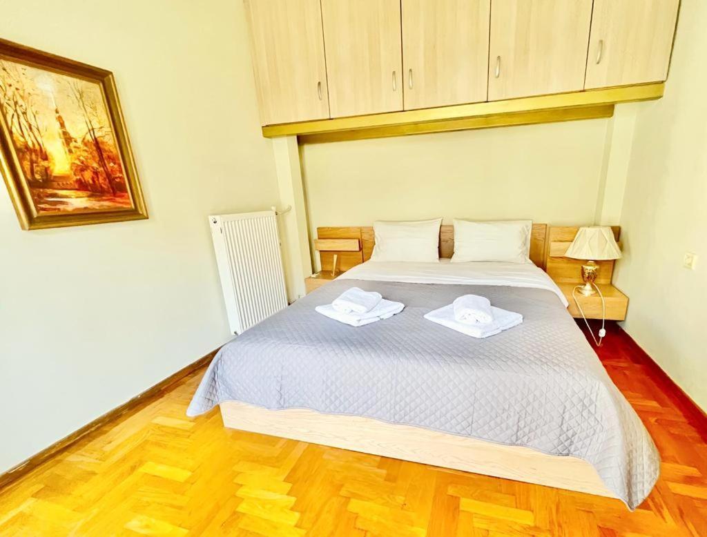 Neoclassical 2bed In Kallimarmaro Apartment *